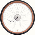 Bicycle wheel with brown sidewall and black tire on a white background.