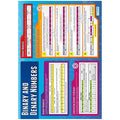 Daydream Binary and Denary Numbers Gloss Daydream Wallchart SG Education
