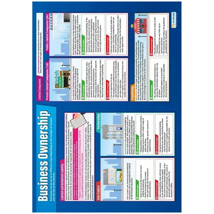 Daydream Business Ownership Laminated Daydream Wallchart SG Education