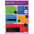 Daydream Data Types Gloss Daydream Wallchart SG Education