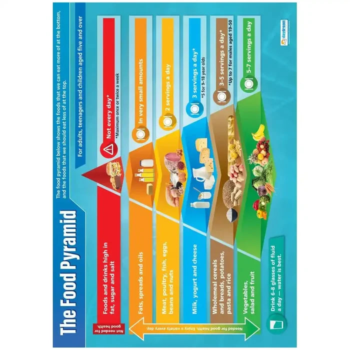 SG Education DD WC Food Pyramid Lam web SG Education