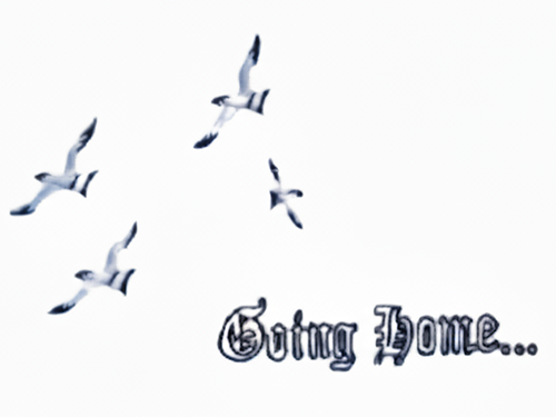 Going Home Head Panel - Ivory