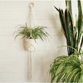 SG Education Les Chapineries Petite Fleur DIY Kit - Macreame Plant Hanger SG Education