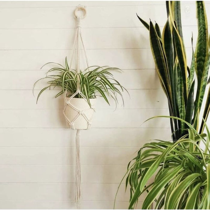 SG Education Les Chapineries Petite Fleur DIY Kit - Macreame Plant Hanger SG Education