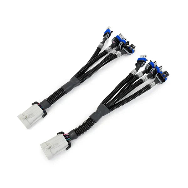 LS Coil Harness