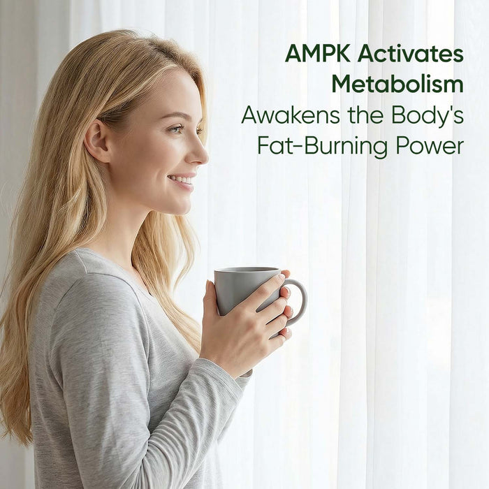 Metabolic Daily
