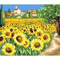 SG Education Painting by Numbers Large  Sunflowers obs25 SG Education