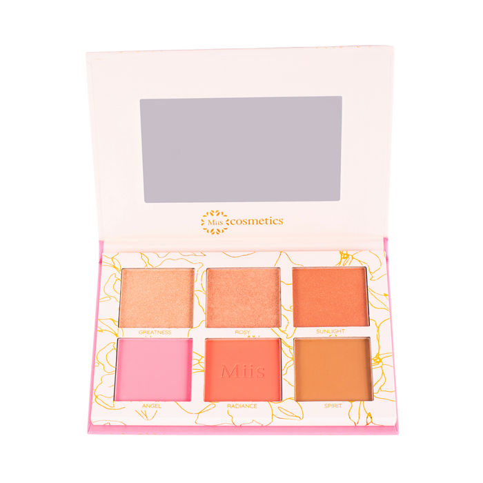 Paleta de rostro