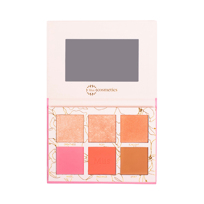 Paleta de rostro
