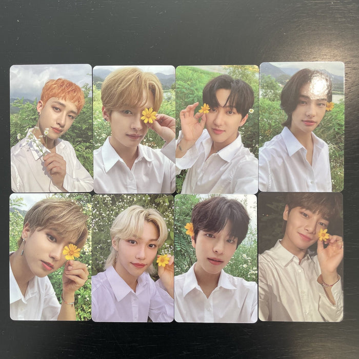 Stray Kids NO EASY Limited Ver. POB Photocard
