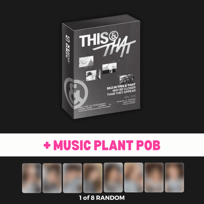 stray kids this and that fans album