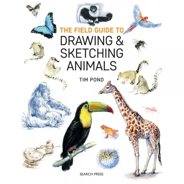 SG Education The Field Guide to Drawing & Sketching Animals SG Education