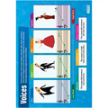SG Education Voices Gloss Daydream Wallchart SG Education