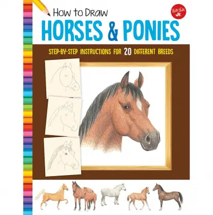 SG Education WF - How To Draw | Horses & Ponies SG Education